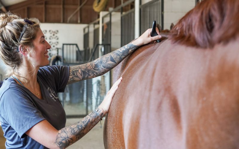 Equine chiropractic care.