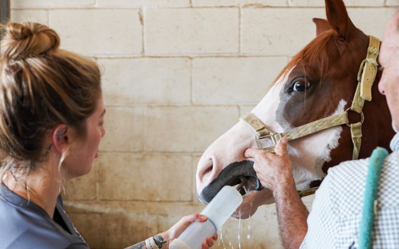 Dental health.