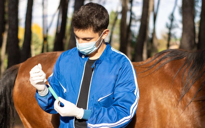 West Nile virus vaccine.