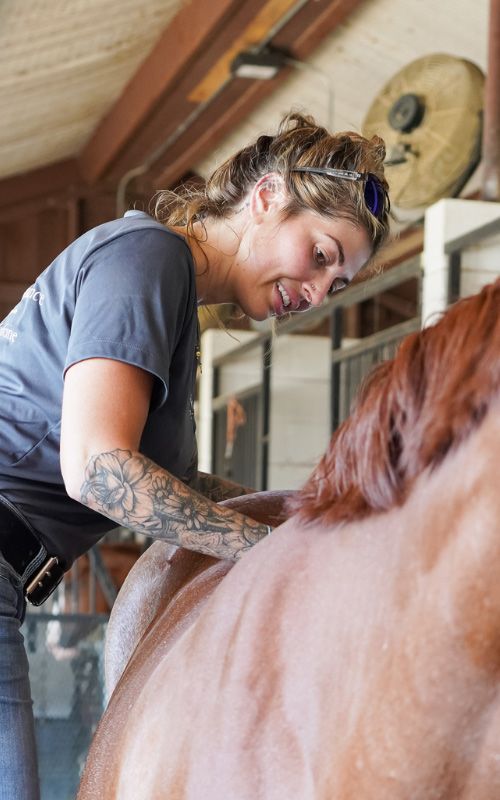 Equine chiropractic care.